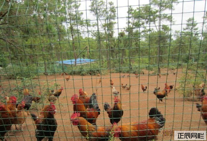 1640132918450642.jpg timg (6).jpg