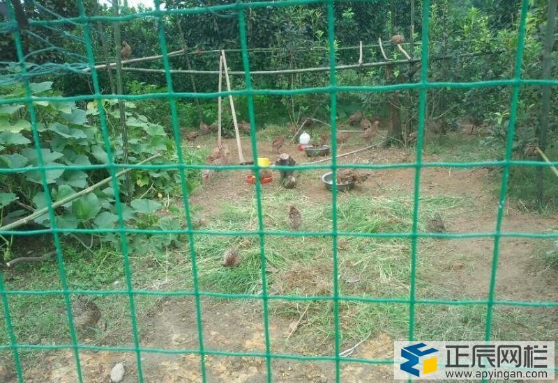 養(yǎng)殖場圍網(wǎng)